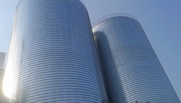 良庆2座混凝土高架卷板仓